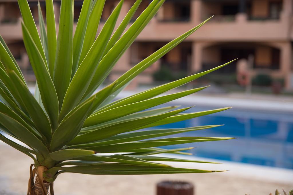 Apartamentos Turisticos Spiritmar Almerimar Exterior foto